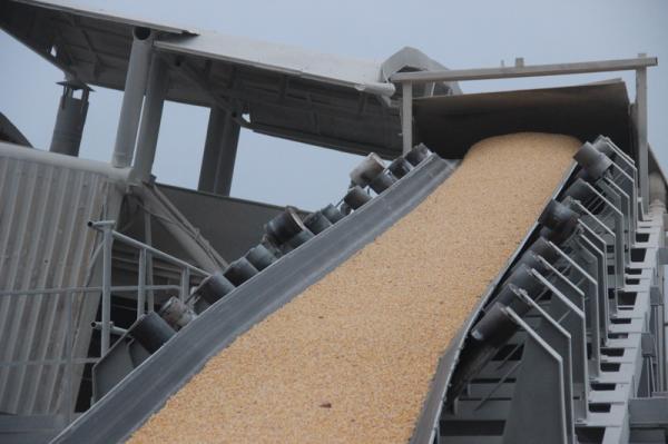 Транспортер зерна ТШВ-400